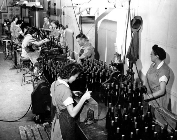 The Concannon crew inspects and prepares bottles