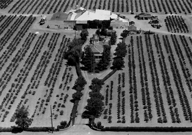 Concannon remained operational during Prohibition by producing sacramental wine