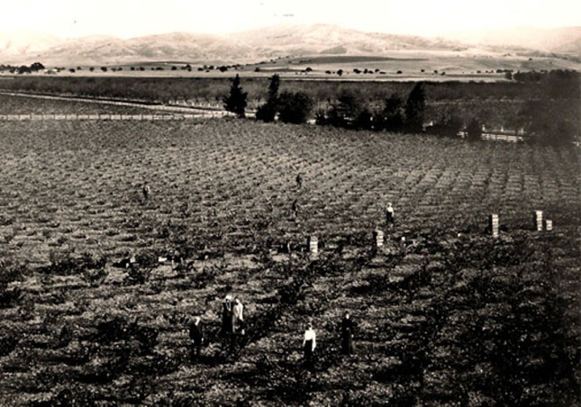 James and family during harvest season