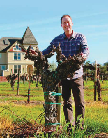 John Concannon, The Tasting Panel