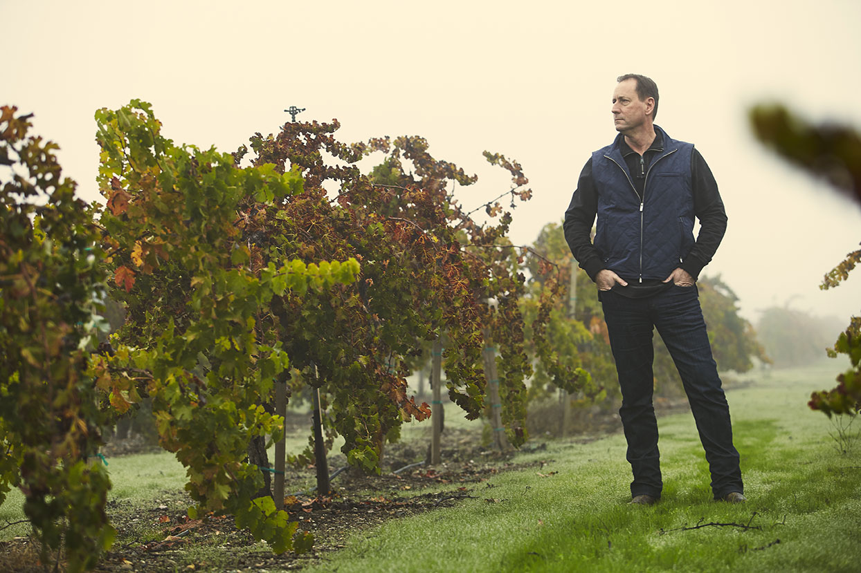 Cabernet
