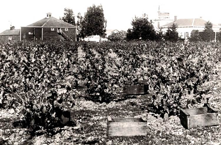 Harvest