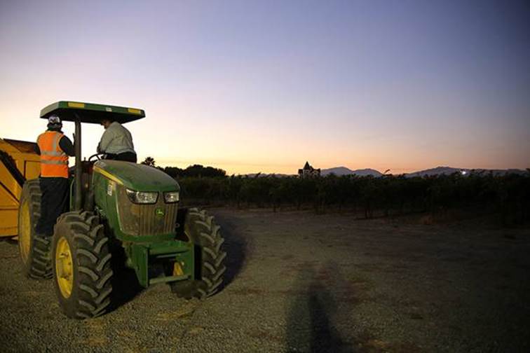 Harvest