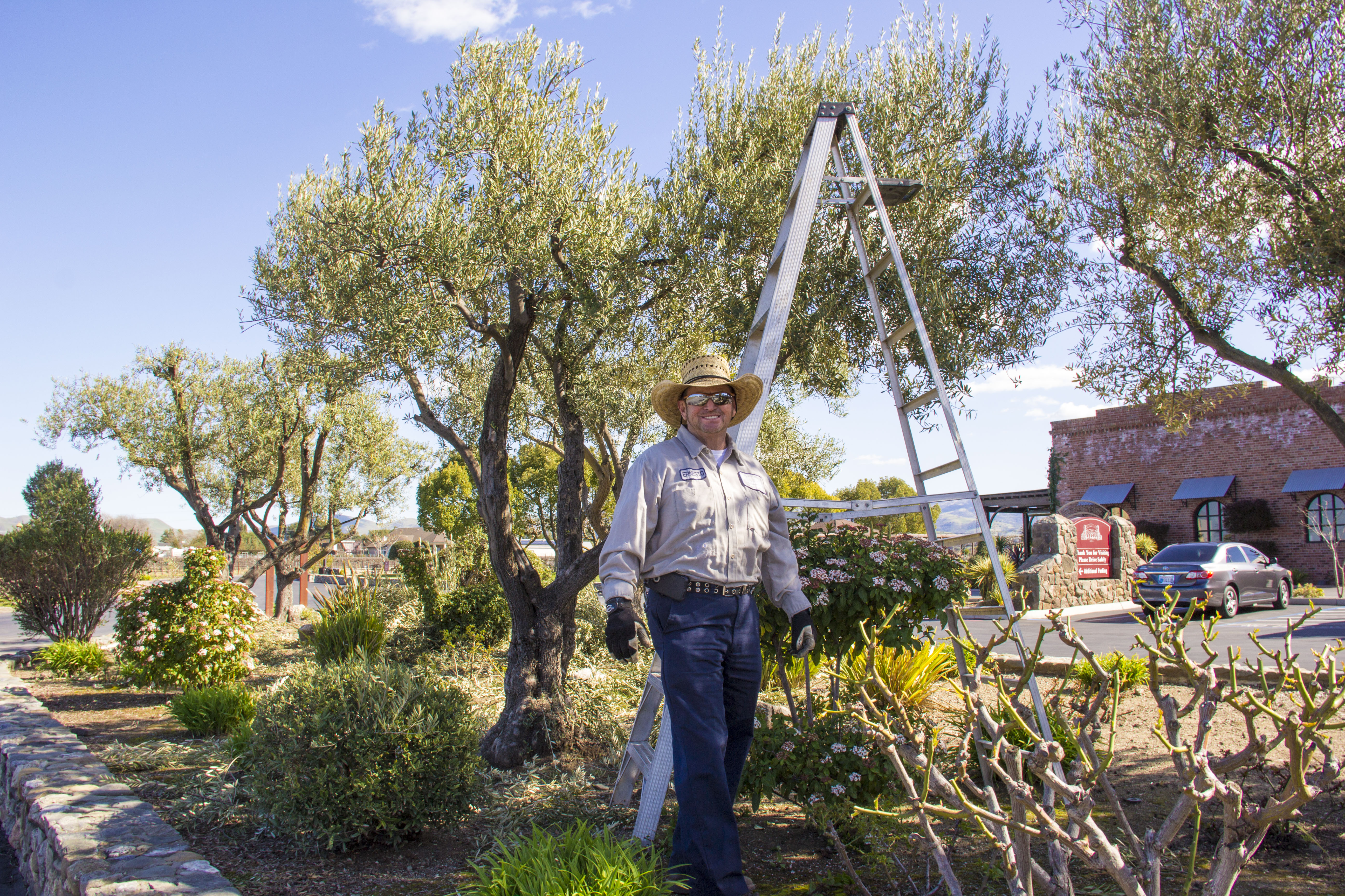 Great pruner