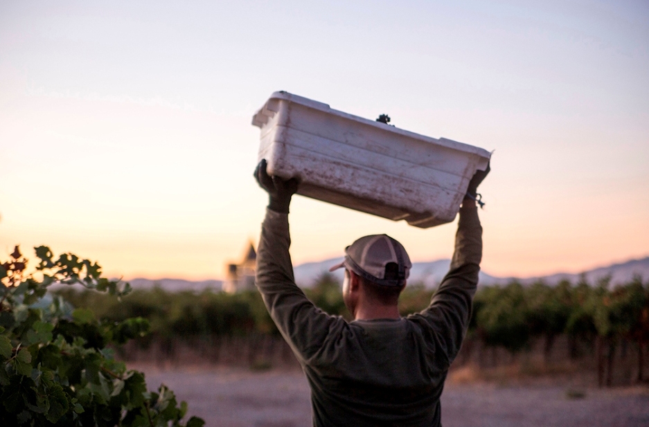 Harvest