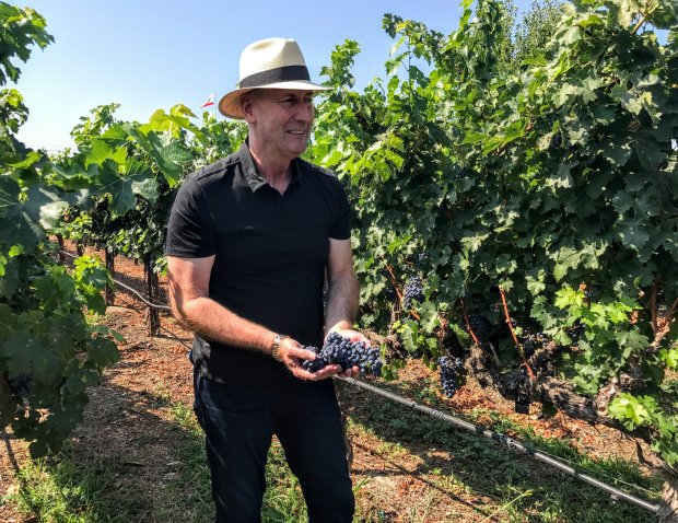 Blessing of the Grapes