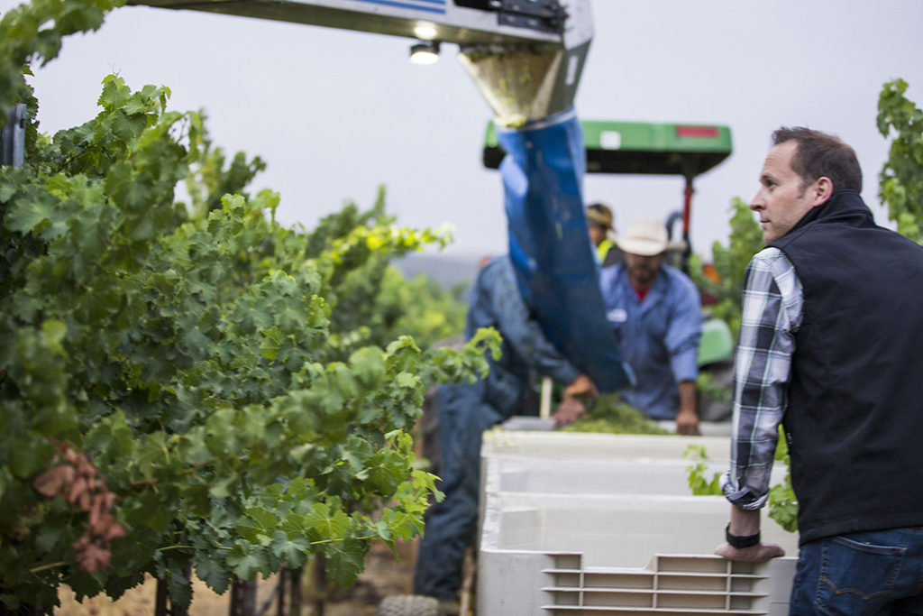 Winegrowing