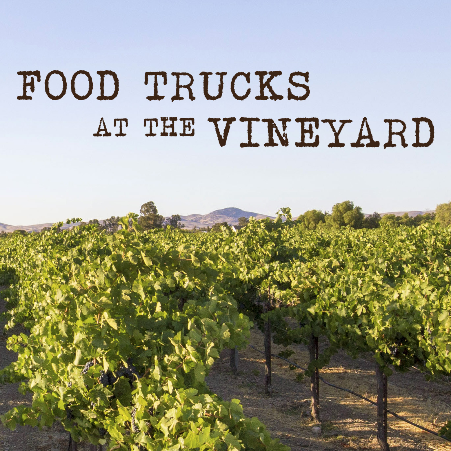 Food Trucks at the VIneyard