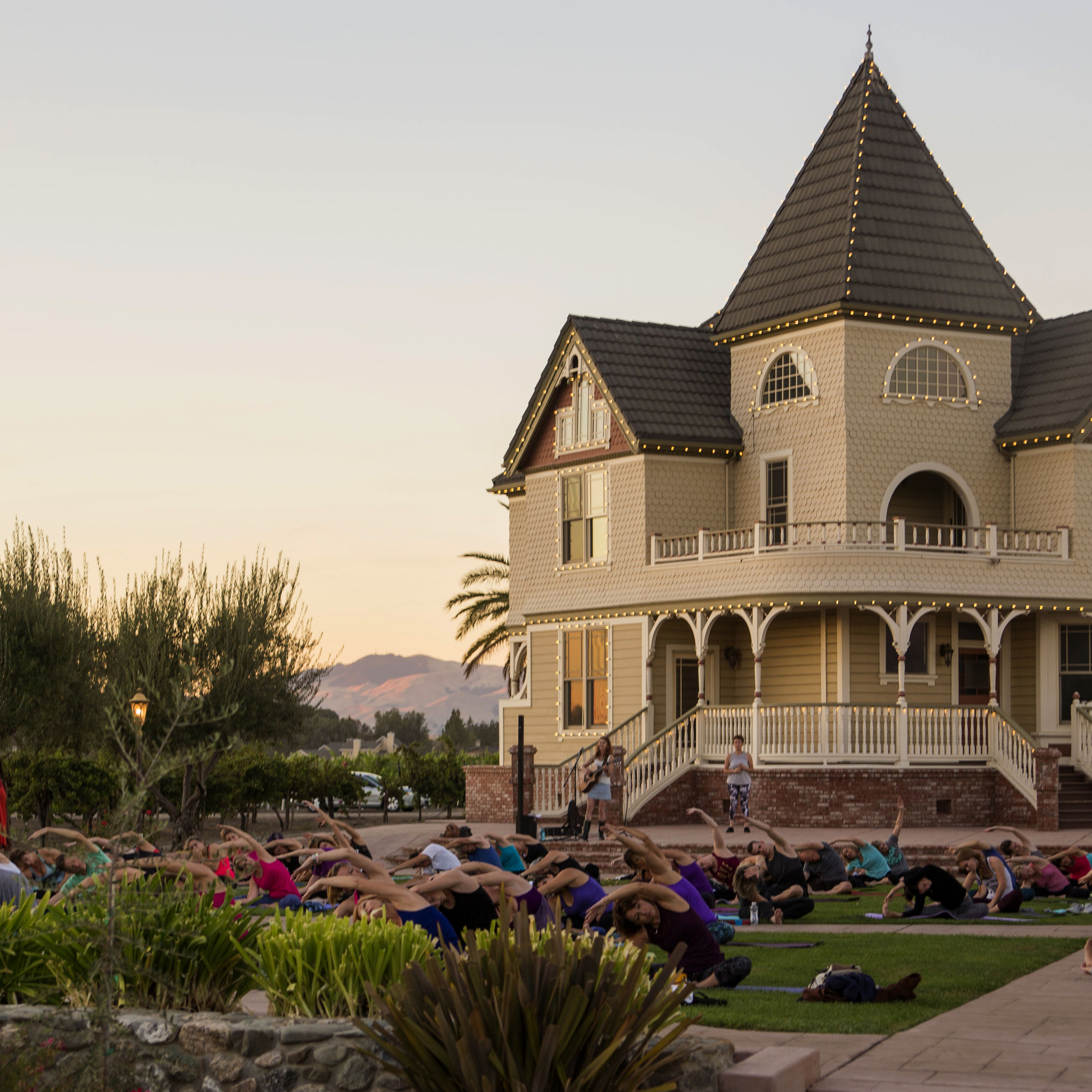 Yoga in the Vineyard