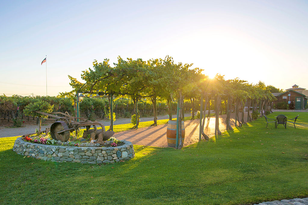 Grape Arbor