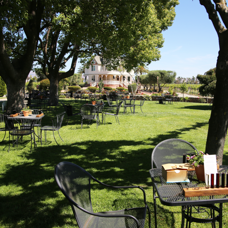 Bay Area's best picnic spots: Concannon Vineyard - Concannon Vineyard