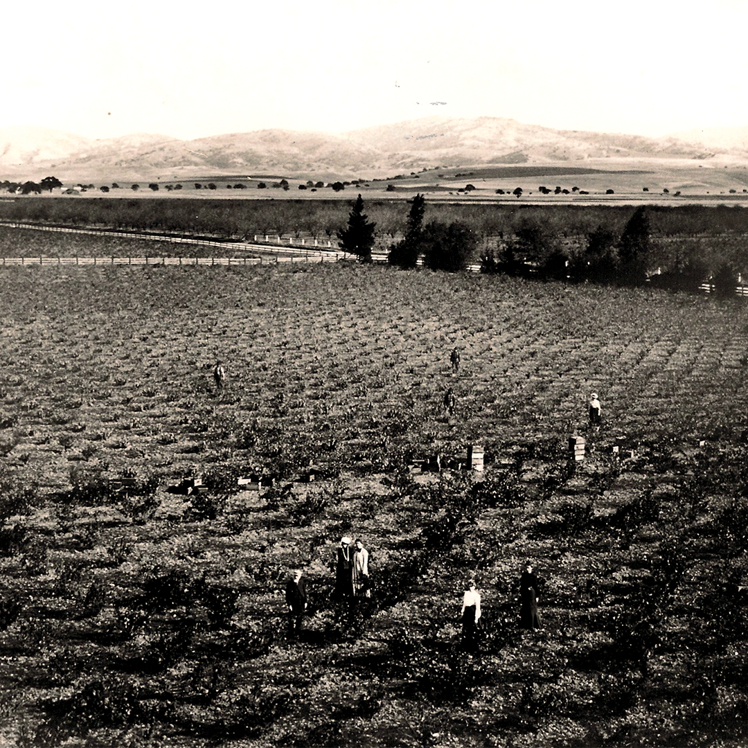 Livermore-Legacy