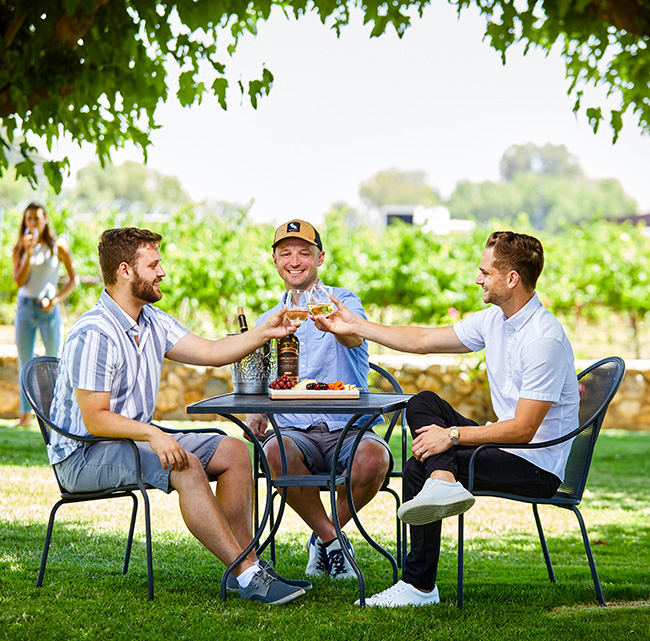 Concannon Vineyard