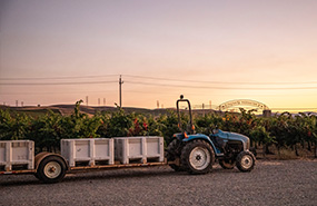 Winegrowing