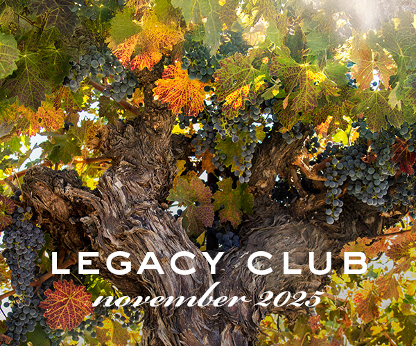 November 2025 Newsletter Image1