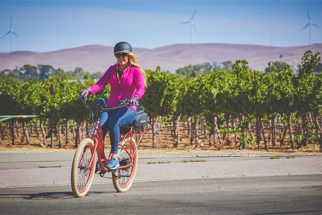 Pedego image